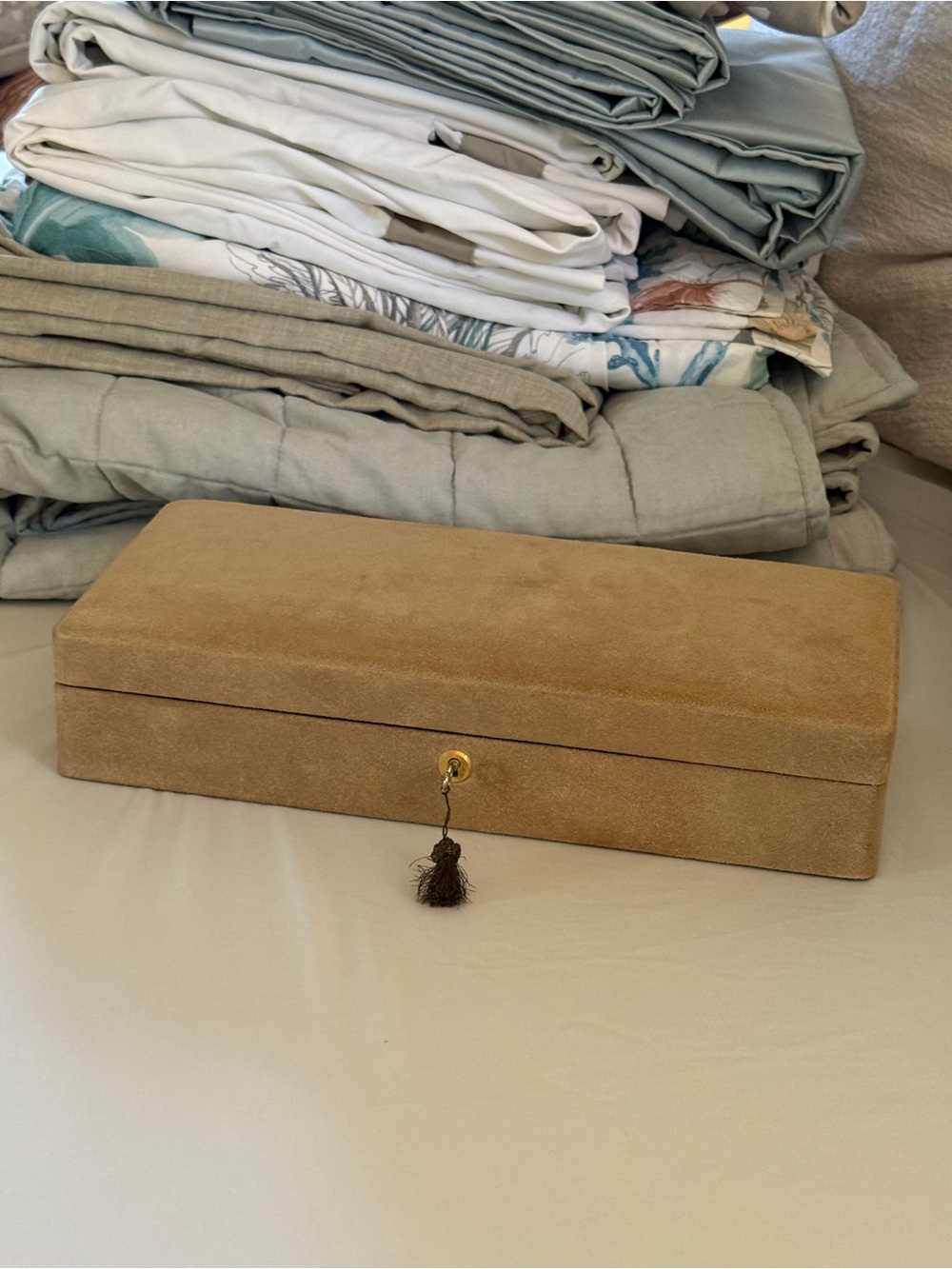 Vintage Suede Jewelry Box with Tassel Lock